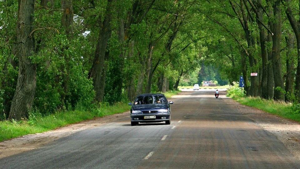 Renault Safrane 97 B54F 2