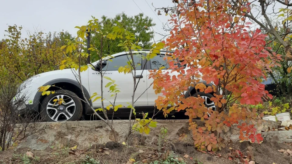Renault Sandero Stepway 1,5 dCi 90 2020 2
