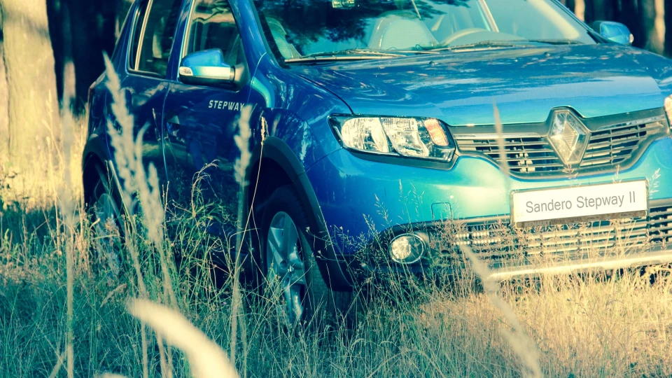 Renault Sandero Stepway II Урчащий Ману 4