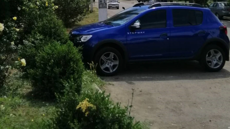 Renault Sandero Stepway 🇨🇵🇺🇦С.А.Н.Е.К.💫 3