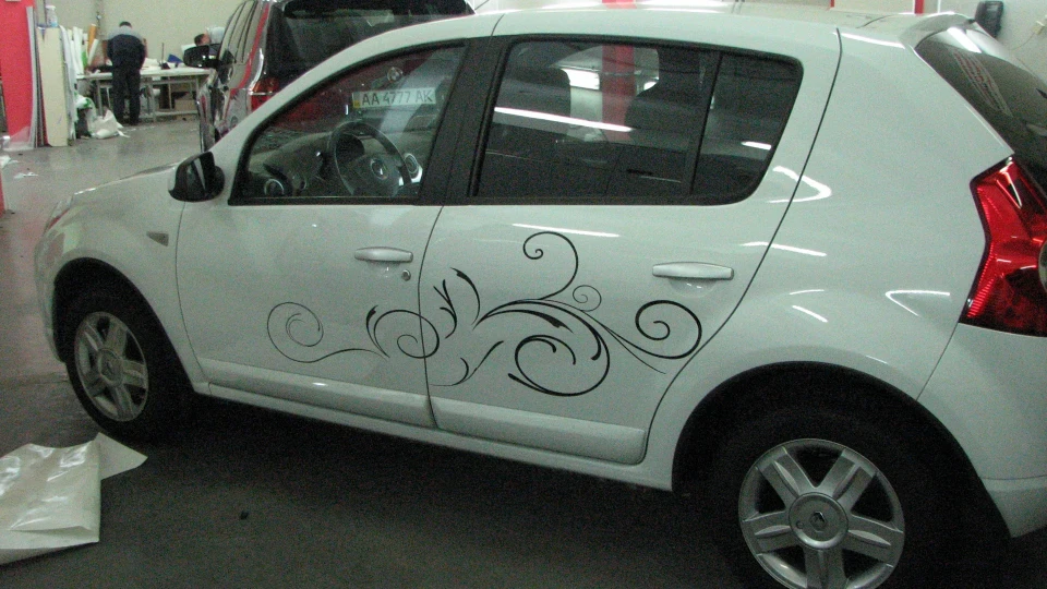 Renault Sandero Білий Саня 4