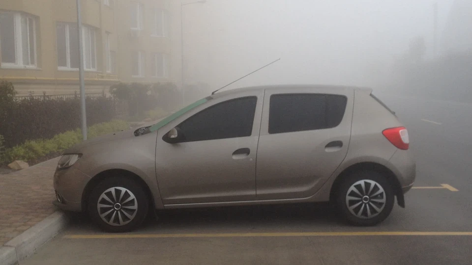 Renault Sandero • Бежевий металік