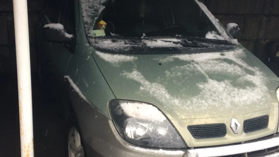 Renault Scenic RX4 3