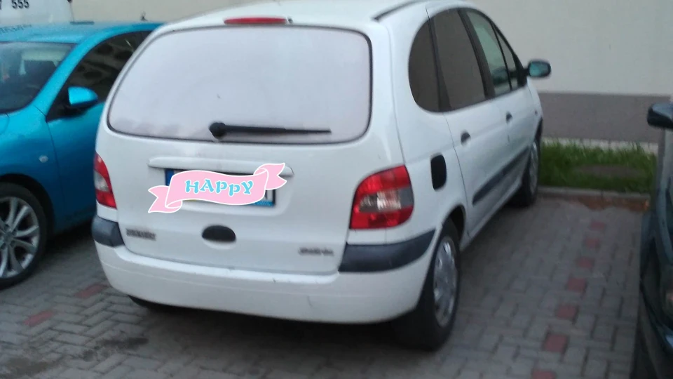 Renault Scenic Біла безвідказна конячка
