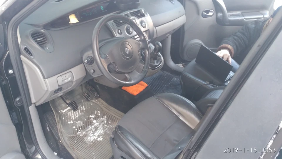 Renault Scenic Black tribal 3