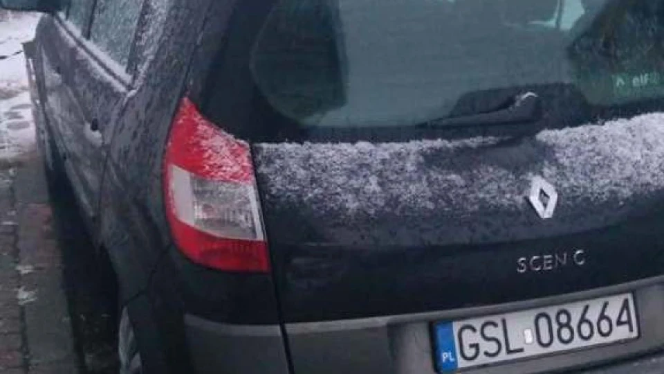 Renault Scenic Black tribal 5