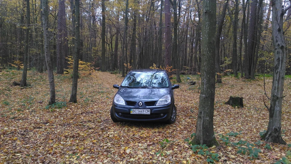 Renault Scenic II 1.5dci Тарахтящий кот 4