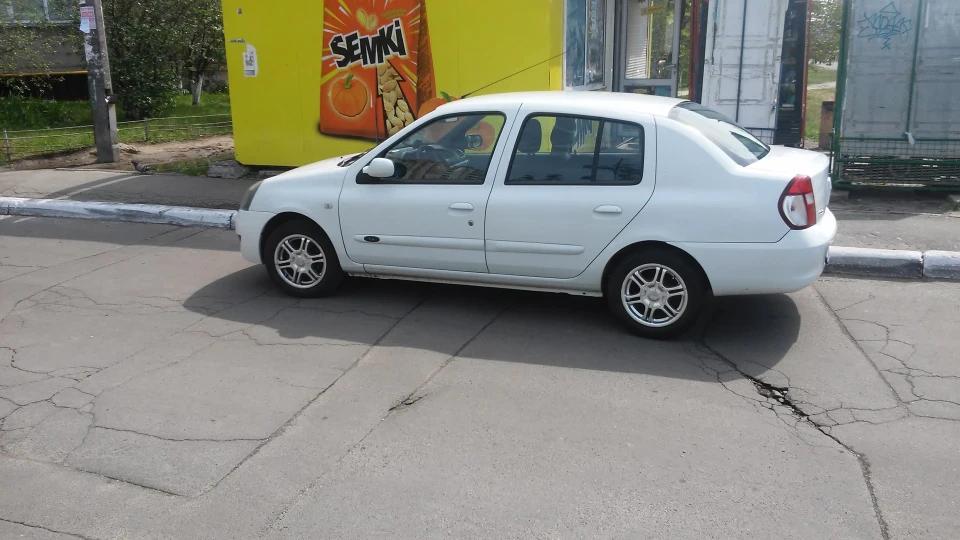 Renault Symbol Міський звір 3