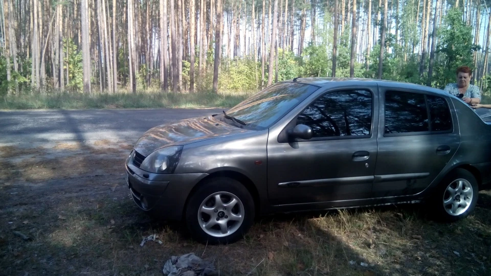 Renault Symbol Таракан 4