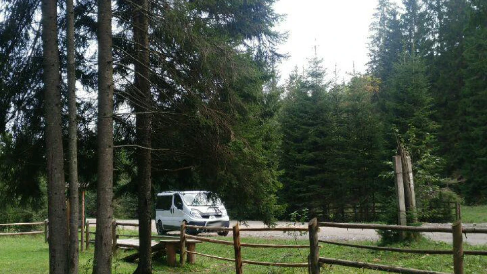 Renault Trafic Скажений равлик 5