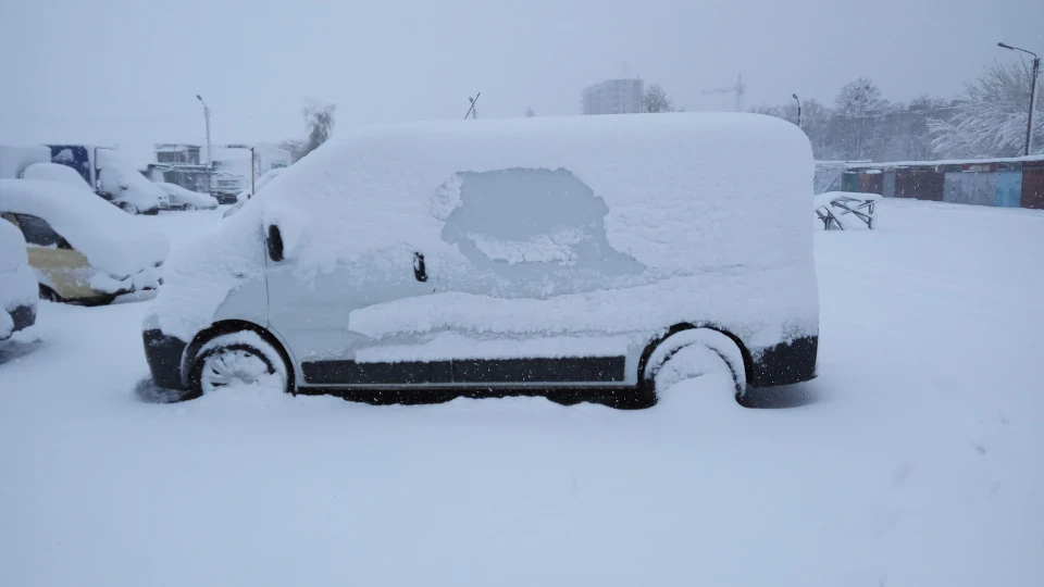 Renault Trafic рафінад 2