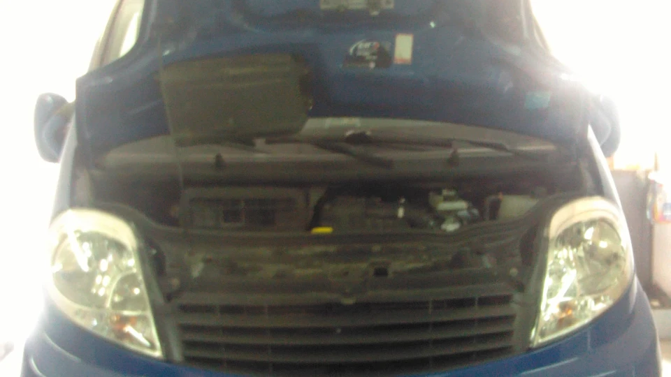 Renault Trafic Синє вітрило 4