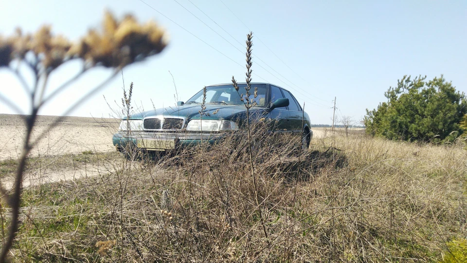Rover 800 Англійська бричка