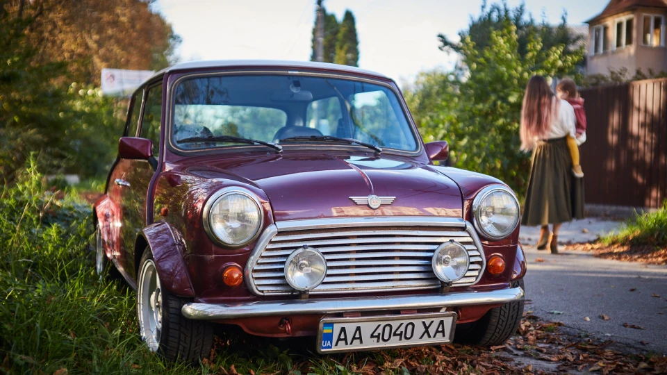 Rover Mini Баклажанчик 2