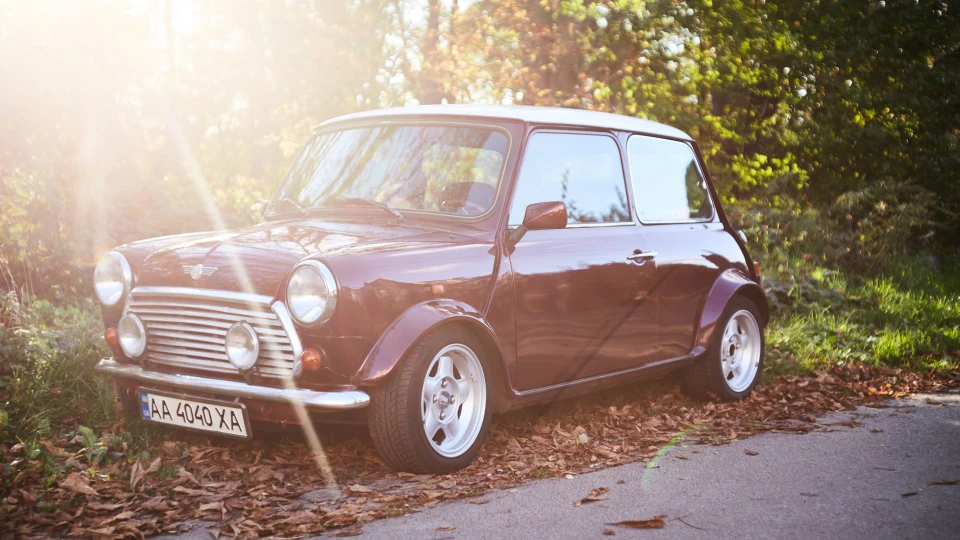 Rover Mini Баклажанчик 4