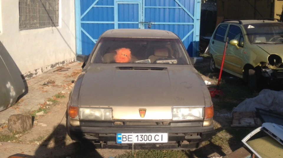 Rover SD1 взаємний Mr.Gold 3
