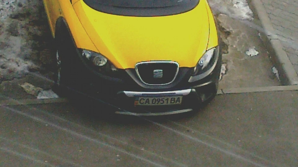 SEAT Altea Freetrack Фрітратопс 3