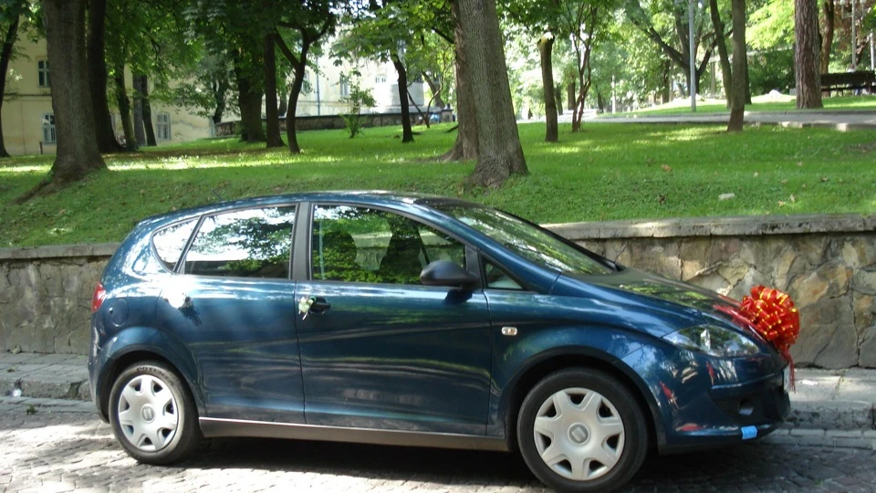 SEAT Altea Bug 2
