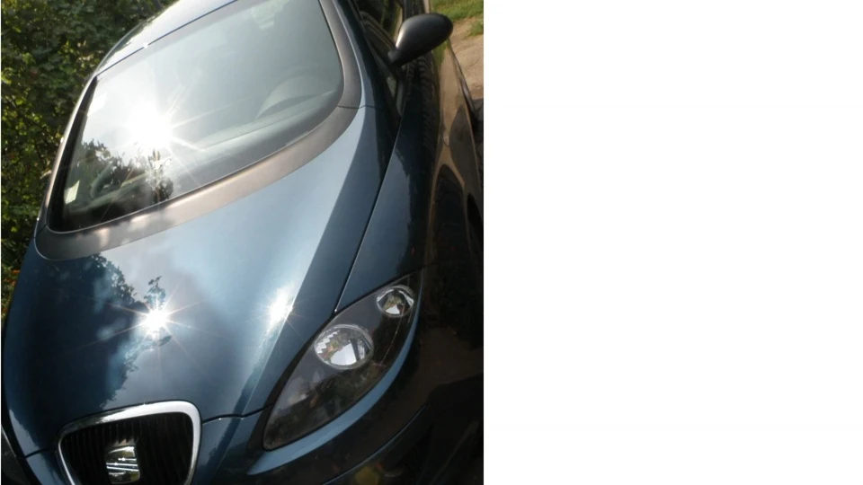 SEAT Altea Bug 3