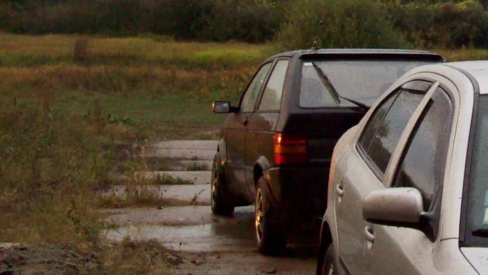 SEAT Ibiza шалений клоп 4