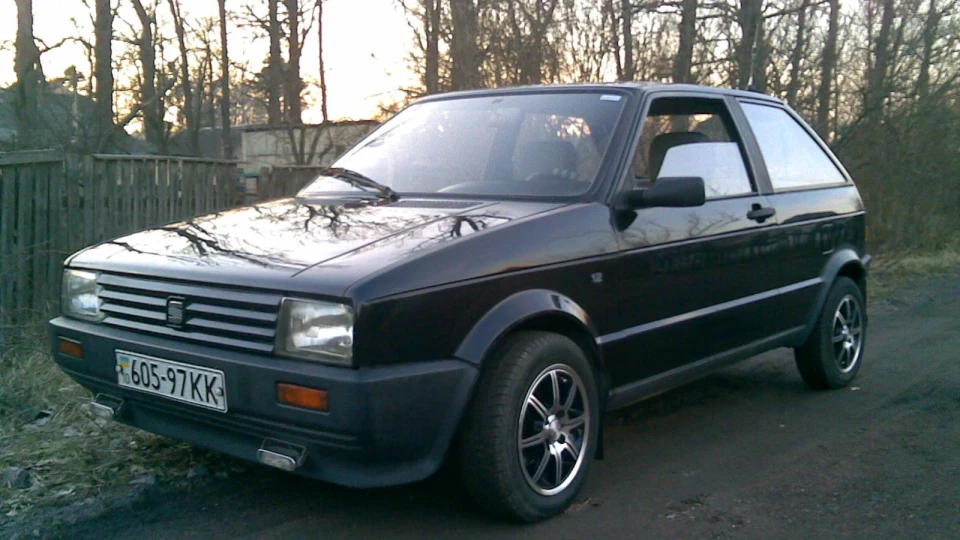 SEAT Ibiza шалений клоп 5