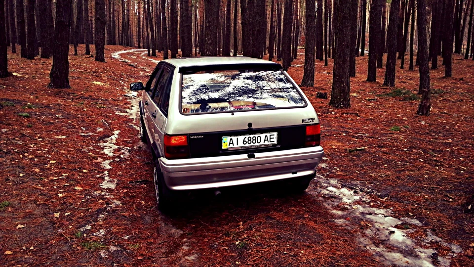 SEAT Ibiza Піднята з колін 2