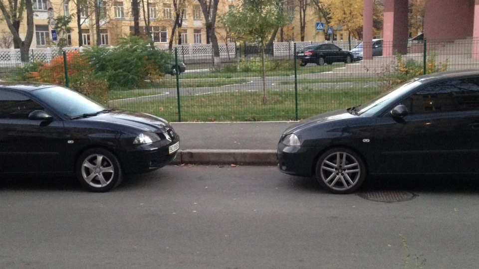 SEAT Ibiza Seat'ос дикий пес 2