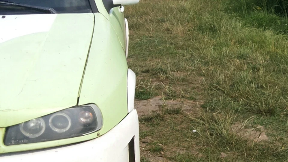 SEAT Ibiza Зеленка