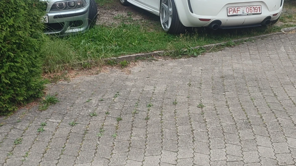 SEAT Leon Cupra Cupra Copa 4