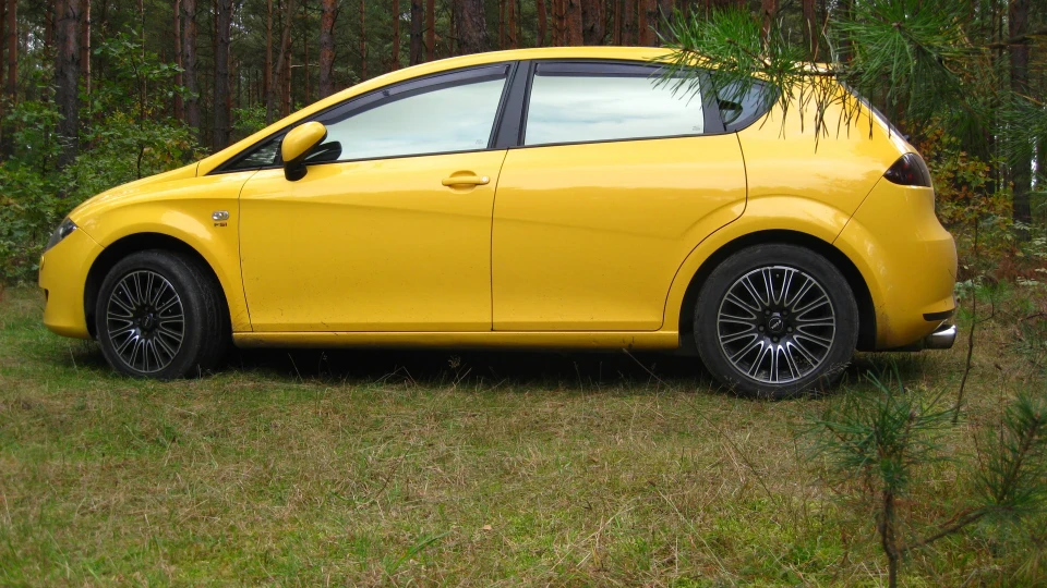 SEAT Leon 2.0 FSI ЛЕОН КІЛЕР =) 4