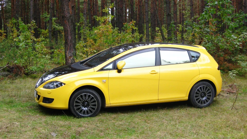 SEAT Leon 2.0 FSI ЛЕОН КІЛЕР =) 5
