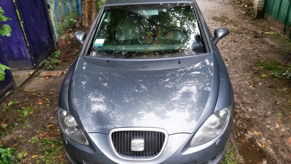SEAT Leon 2.0 TDI Сірий праска 5