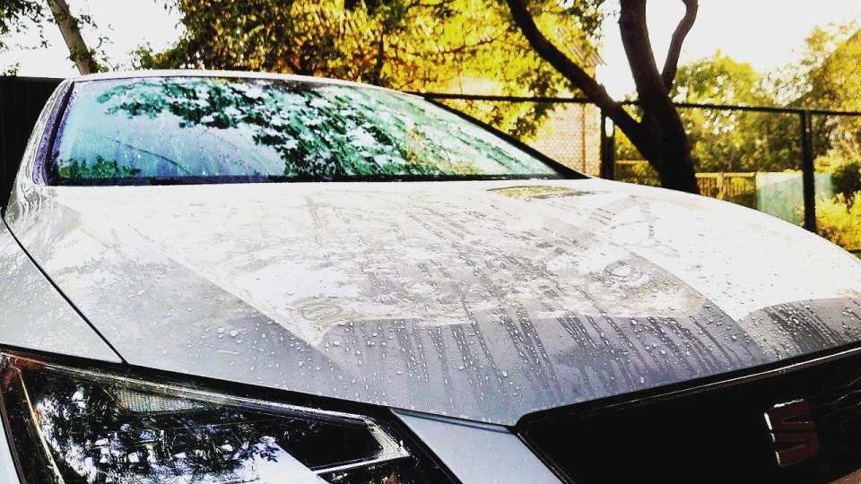 SEAT Leon Білий трактор =)) 5