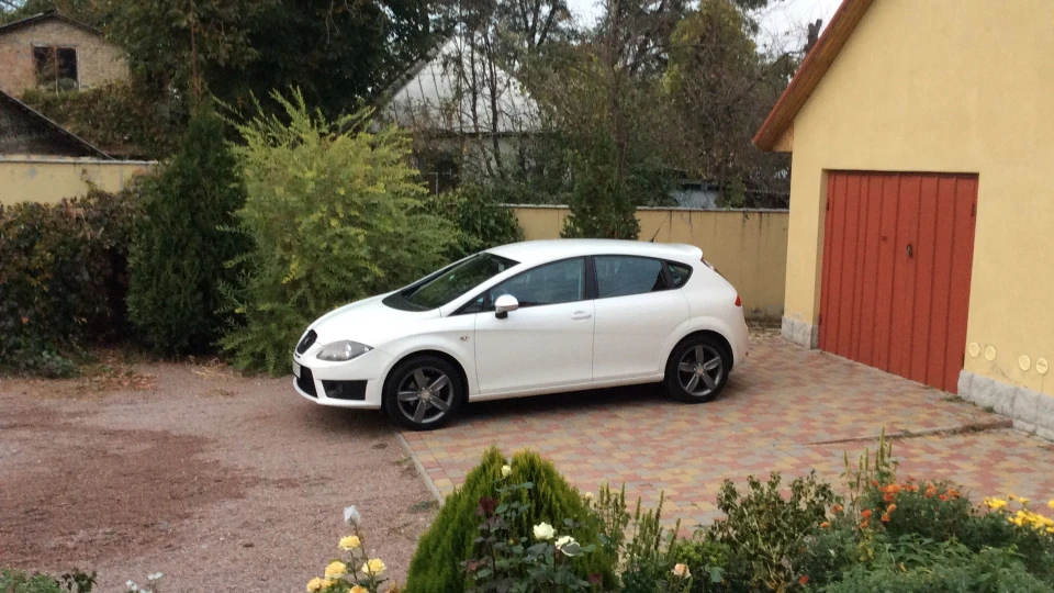SEAT Leon білим-біло
