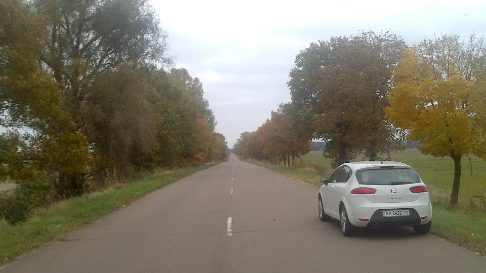 SEAT Leon білим-біло 3