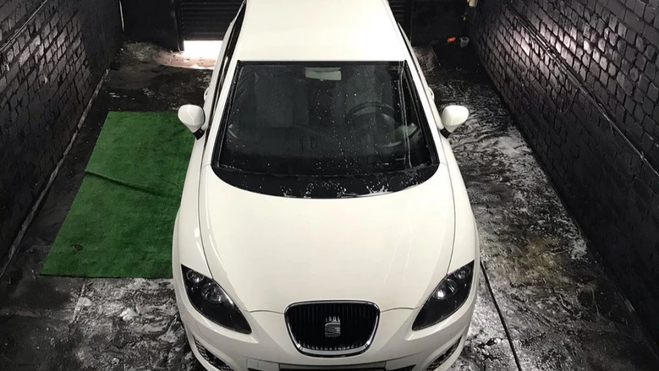 SEAT Leon Черепаха в шкурі Лева 2