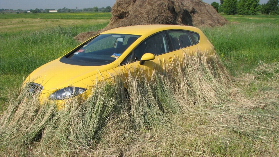 SEAT Leon LeonИД Yazik Edition 5