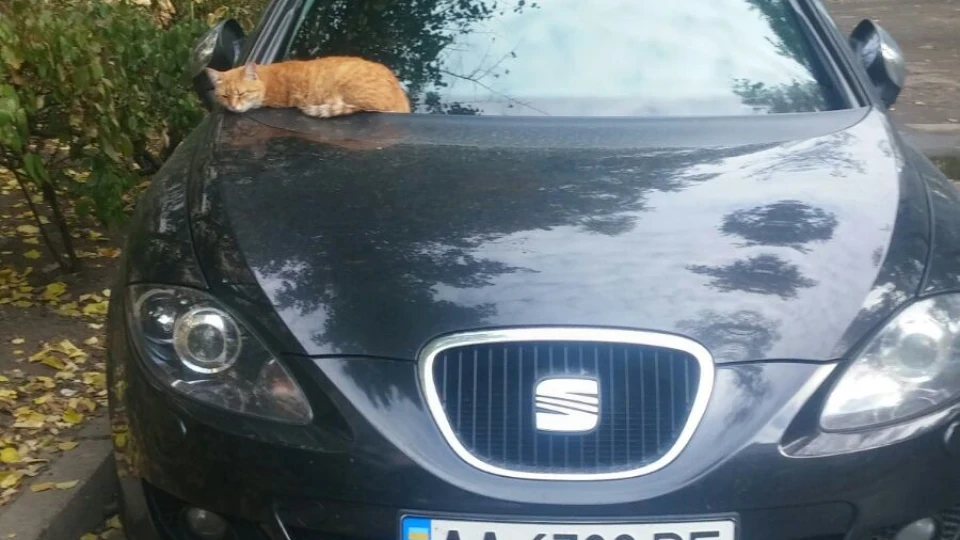 SEAT Leon майже Sportwagen 3