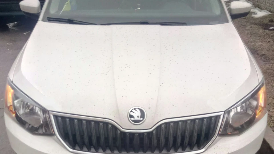 Skoda Fabia Combi 2