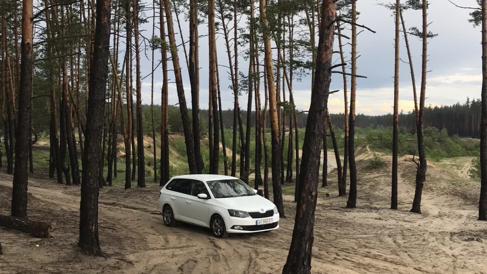 Skoda Fabia Combi Білка 2