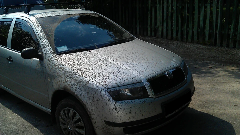 Skoda Fabia Combi Фаболет 2