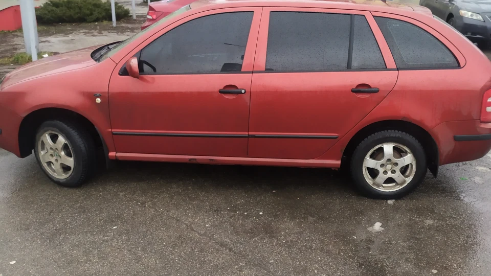 Skoda Fabia Combi Вогонь 3