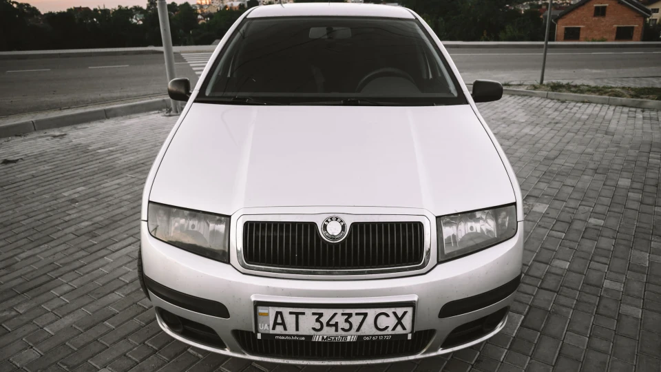 Skoda Fabia Combi Сірка ;) 2