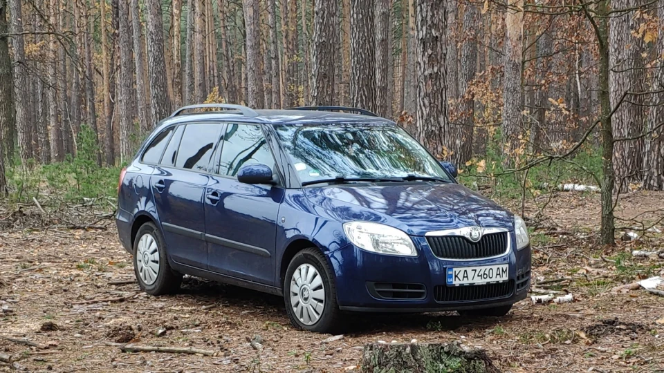 Skoda Fabia Combi Синя черепаха 2