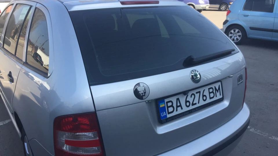 Skoda Fabia Combi Сніжинка 2