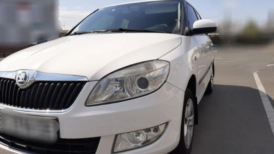 Skoda Fabia Combi Шустрик