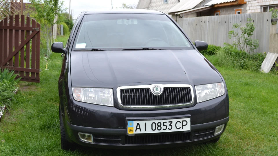 Skoda Fabia Combi Гарна 2