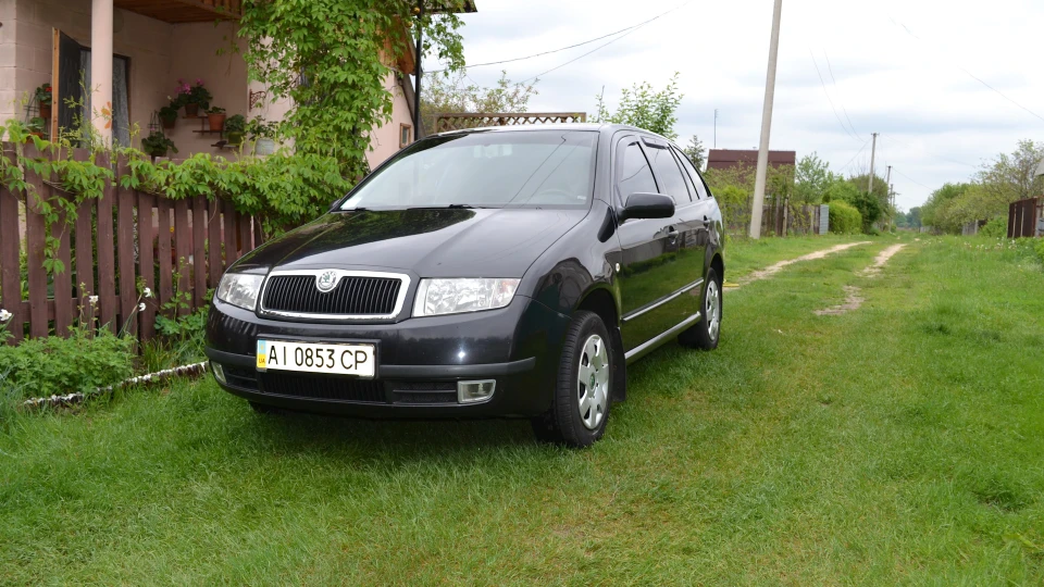 Skoda Fabia Combi Гарна 3