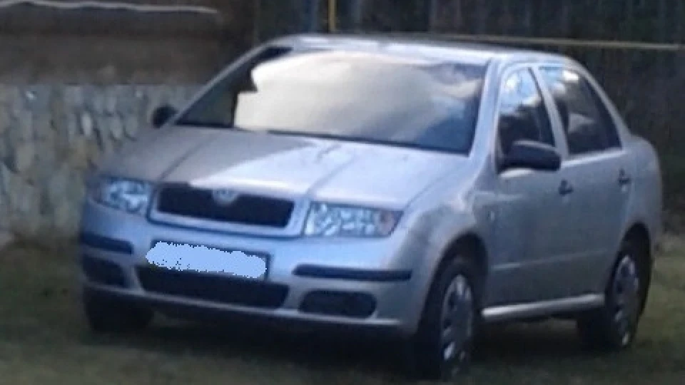 Skoda Fabia Sedan Сріблястий металік 2