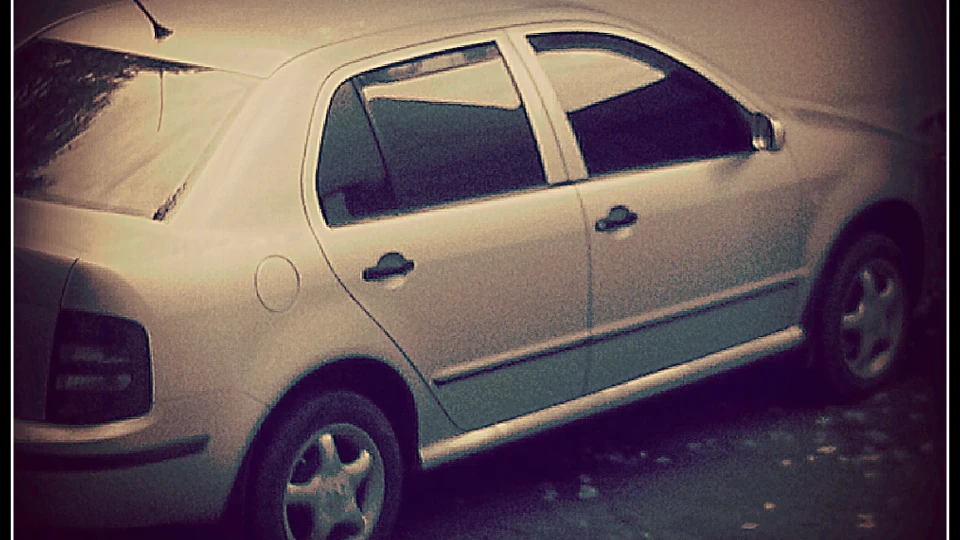Skoda Fabia Sedan сірка-робочка 3